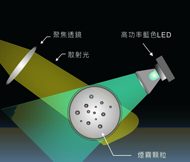 硬蛋網