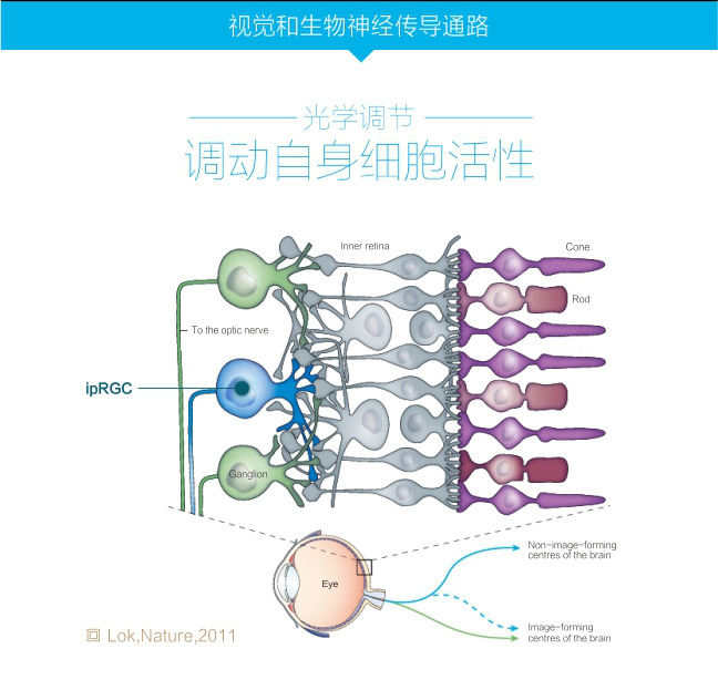 硬蛋众测.jpg